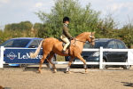 SBM_03317