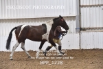 BPP_1228