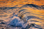 z3648 Abstract Wavelet