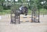 BPP_5429