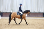 SBM_000173