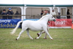 SBM_09838