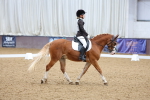 SBM_002955
