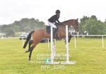 BPP_3295