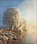Winter Light