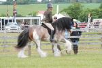 SBM_17689