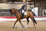 BPP_9301