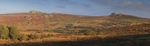Haytor & Saddle Tor Panorama