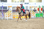 SBM_001363