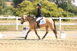 SBM_003599