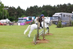 SBM_09487