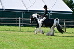 SBM_09324