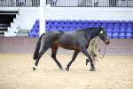 SBM_5751
