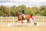 SBM_006275