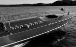 Whippet23-3663BW