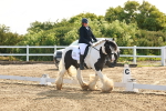 SBM_006975