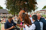 220824-Race 6-Angel Hunter-7530