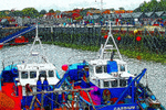 Harbour Scene Whitstable