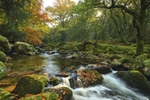 The River Plym