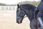 SBM_001055
