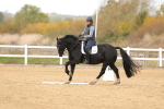 SBM_000988