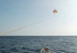 Stephen Parasailing