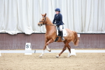 SBM_008248