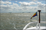 Der Blick nach Hallig Hooge