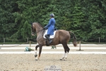 142-Amberley_Pugsley-Hero_A portfolio