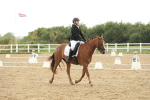 SBM_009627
