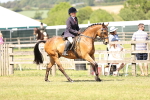 SBM_17996