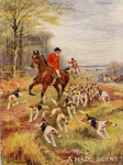 Countryside Foxhunting 5