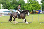 SBM_01013