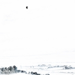 Landscape-040