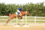 SBM_010441
