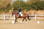 SBM_016533