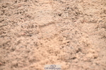 260829B-100812-02114