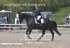 BPP_6599