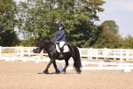 SBM_03532