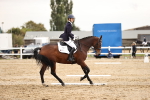 SBM_002663