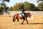 SBM_28339