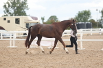 SBM_07854