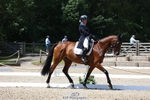 158-RED_LETTER_DAY_II_(GB)-Imogen_Murray-WEDTrotUp+DR portfolio