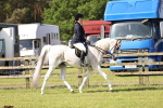 SBM_12499