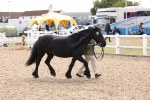 SBM_15075