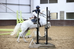 SBM_000181