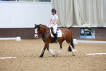 SBM_008508