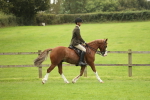 SBM_73694