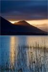 A Shaft of Golden Light