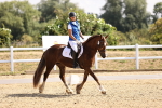 SBM_006533